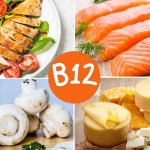 7 مصادر غذائية لفيتامين ب12