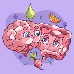 العلاقة بين إيقاعات الأمعاء والدماغ