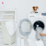5 أمراض يمكن أن تسببها غسالة الملابس
