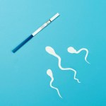 أدوية GLP-1 تحسن عدد الحيوانات المنوية