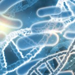 بكتيريا الأمعاء و مقاومة الإنسولين