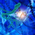 ميكروب في أمعاء الإنسان