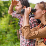 مراقبة الطيور