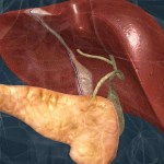 أمراض الكبد