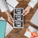 الفحوصات والتقييمات خلال مراحل الحمل